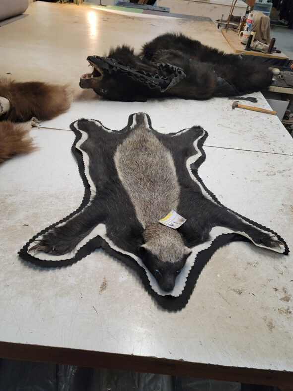 Always something new and unique in this business!