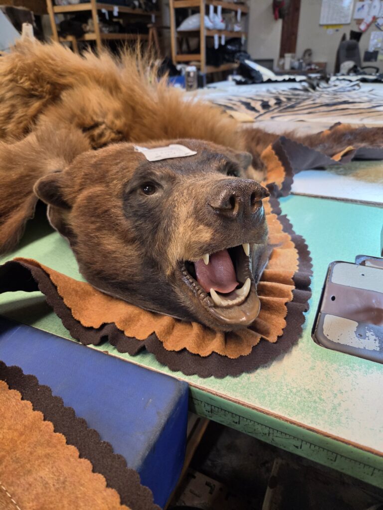 Head mount